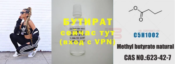 гашик Бородино